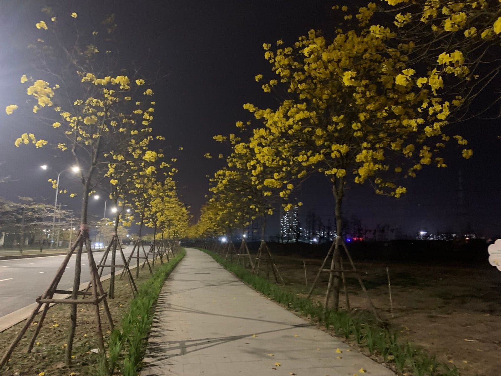 Khu tái định cư Chu Văn An