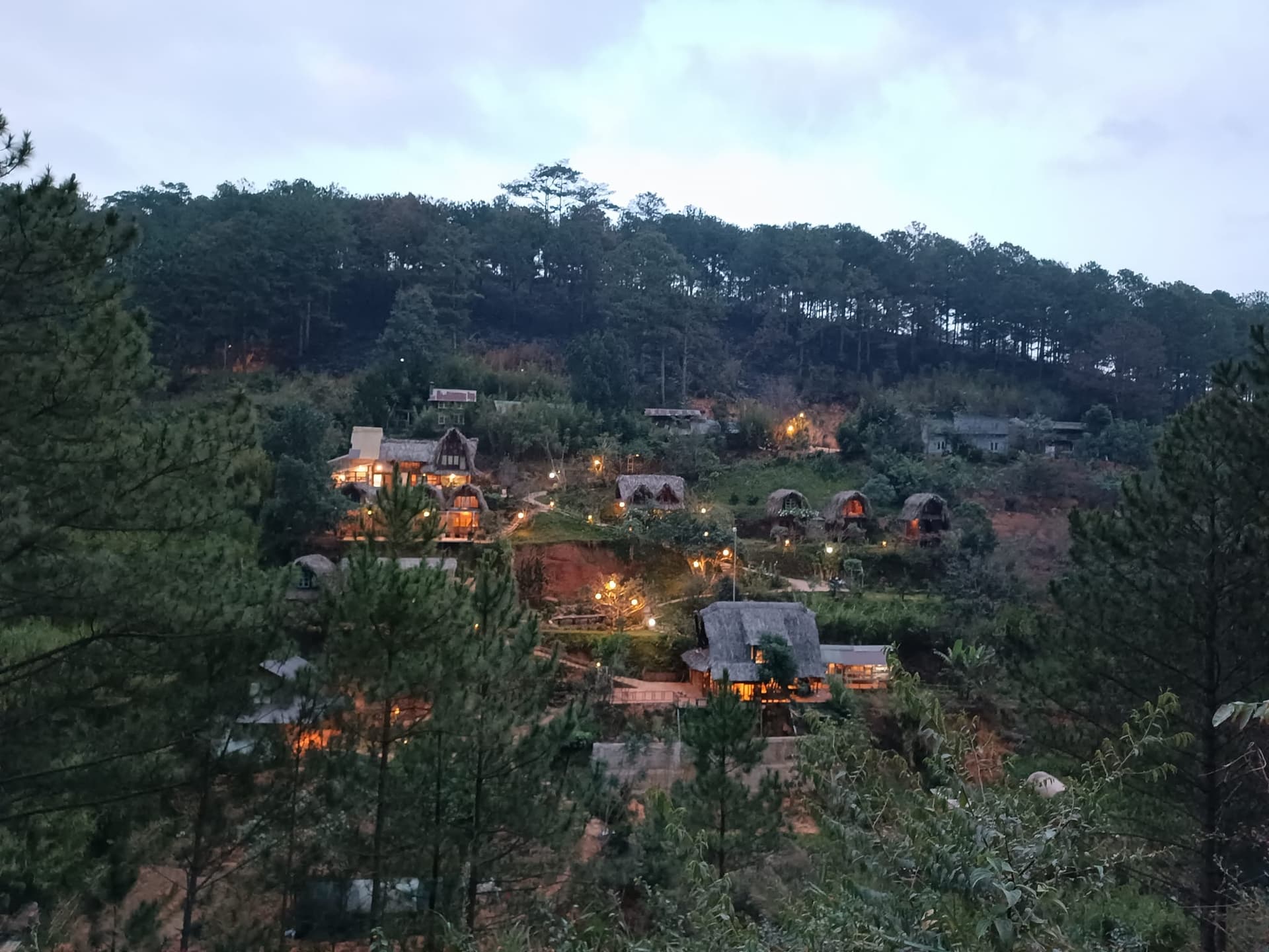 Vườn nhà Củi Homestay