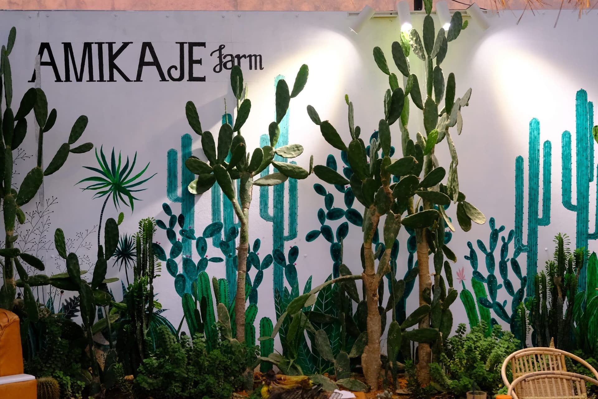 Amikaje Farm