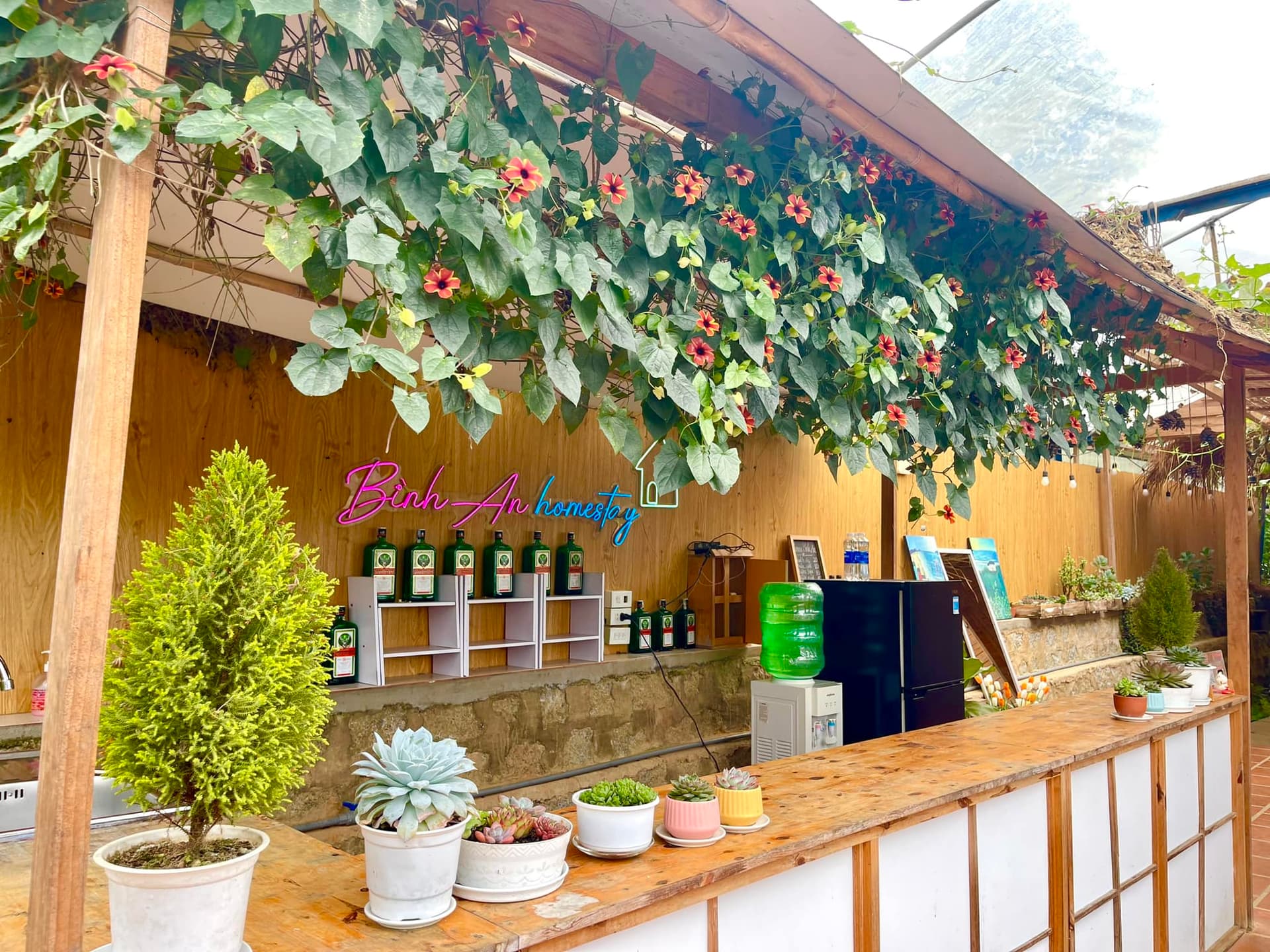 Bình An Homestay Đà Lạt