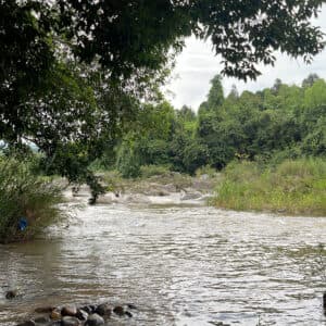 Thanh Vân Camping Site
