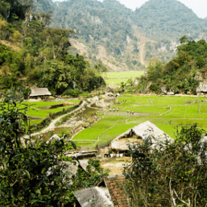 Bản Kho Mường