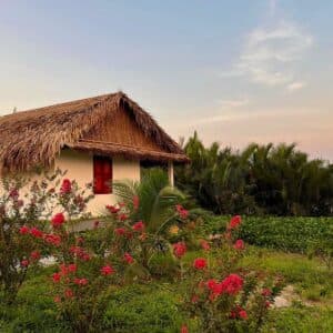 Conut Farmstay Bến Lức