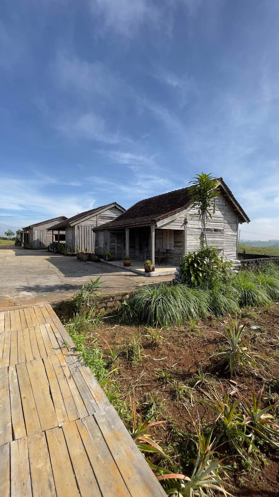 Felix Blao Farmstay