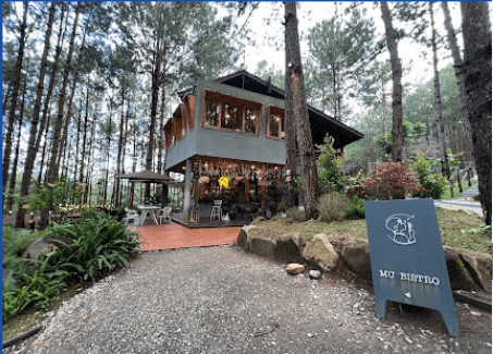 Rừng Thông Mơ Farm & Bistro