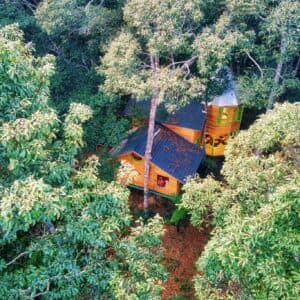 Măng Đen Treehouse Village