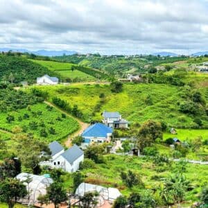 Damb'ri Topview Farmstay & Glamping