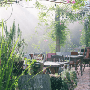 Tiệm Cà Phê Túi Mơ To