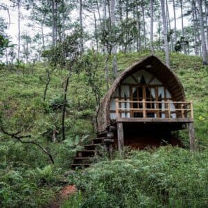 Andante Nature Retreat