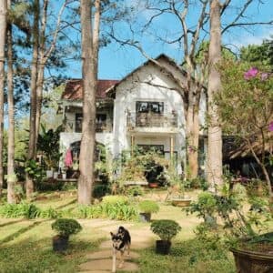 S'nghe Homestay Măng Đen