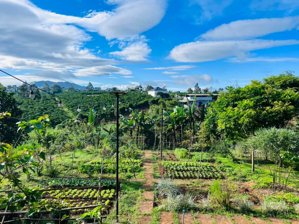 Vintage Garden's Farmstay