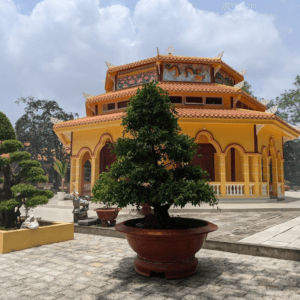 Chùa Thới Sơn - Tịnh Biên - An Giang