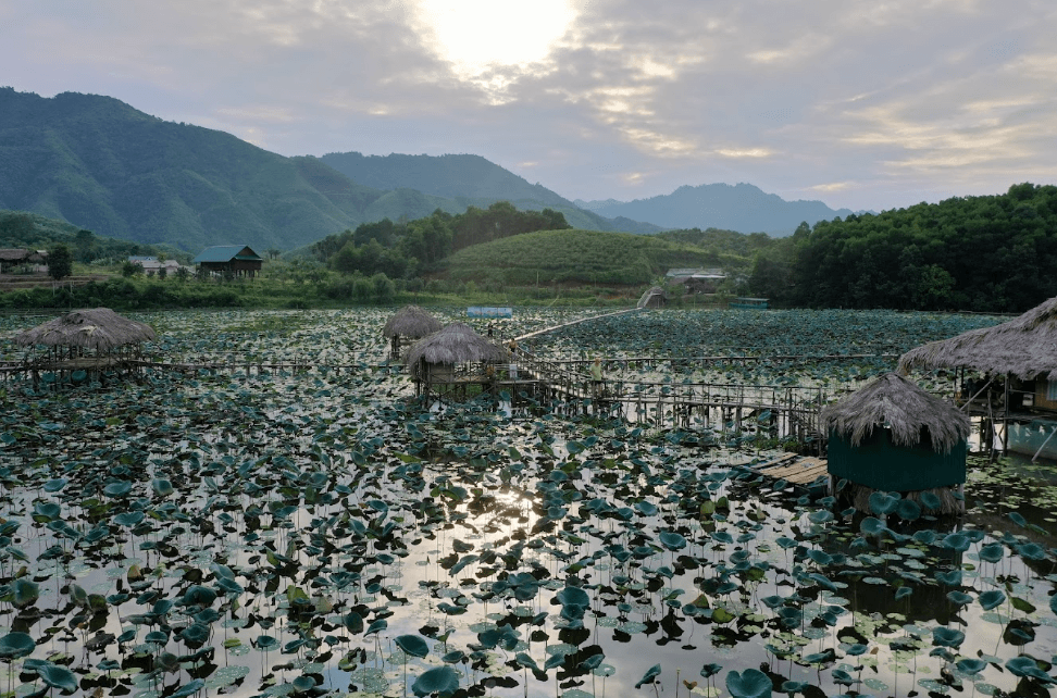 Du lịch sinh thái Sen Quê Vân Hội