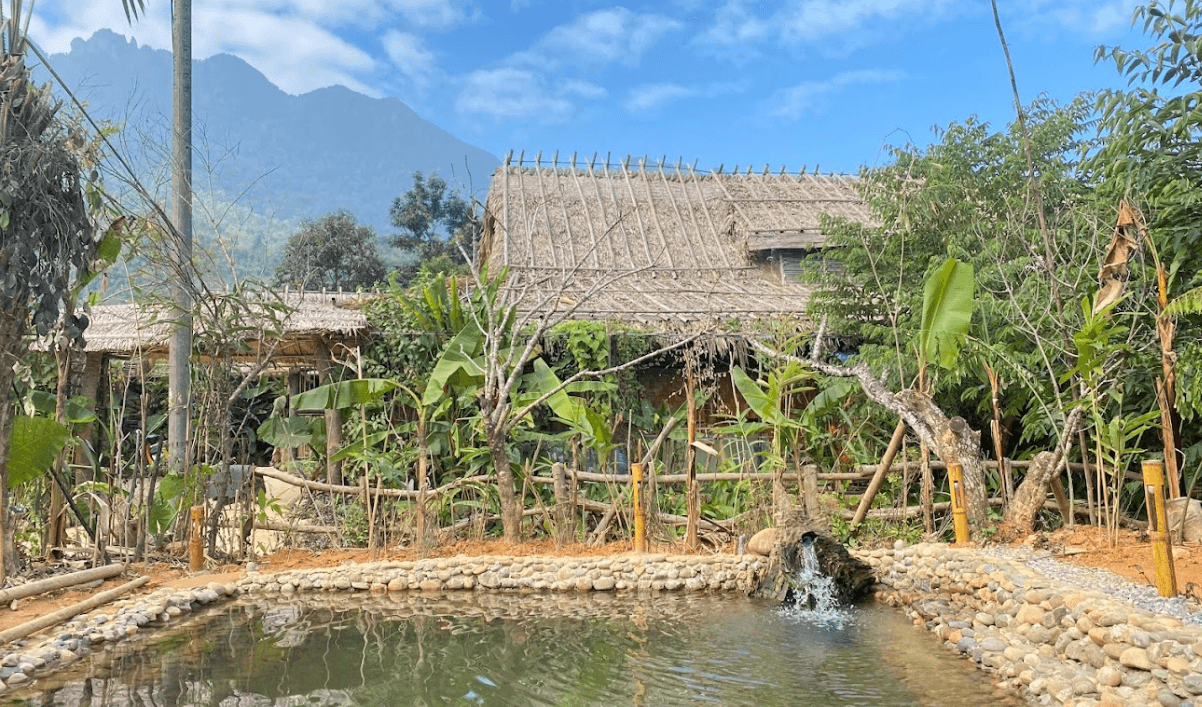 Puluong Palm House - Bá Thước - Thanh Hoá