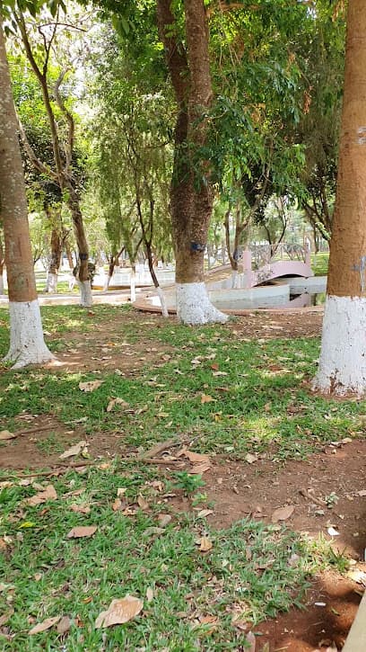 Hà Huy Tập-Đường Nguyễn Chí Thanh-Lý Thái Tổ