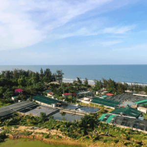 Khu Sinh Thái Núi Chay