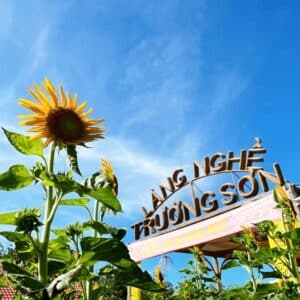 Trường Sơn - Đường số 5 - Đường số 2