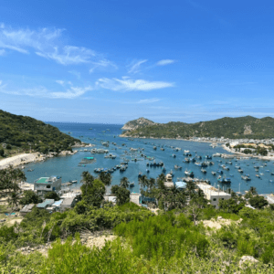 Đèo Cây Cóc Viewpoint