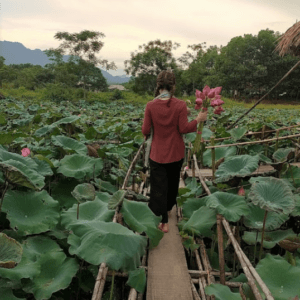 Đầm Vân Hội