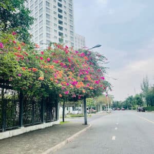 Đường Nguyễn Cao - Nguyễn Văn Linh