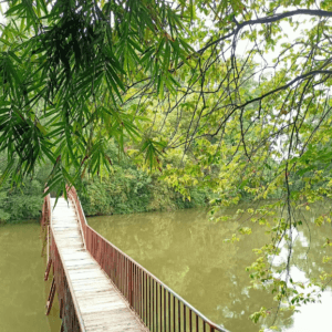 Khu bảo tồn Làng nhà sàn Dân tộc Sinh thái Thái Hải