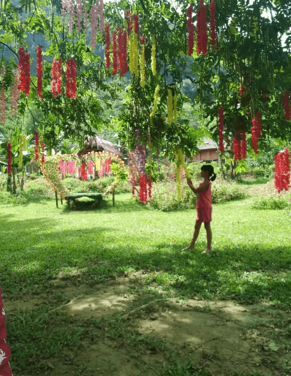 Vườn hoa Doanh Thu - Thạch Thành - Thanh Hoá
