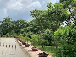 Hẻm 405 Thống Nhất-Đường số 8-Đường số 1