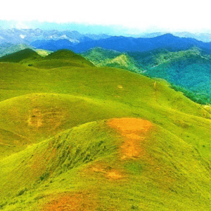 Thảo nguyên - Chi Lăng - Lạng Sơn