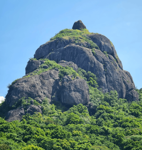 Đỉnh núi Bà - Phù Cát - Bình Định