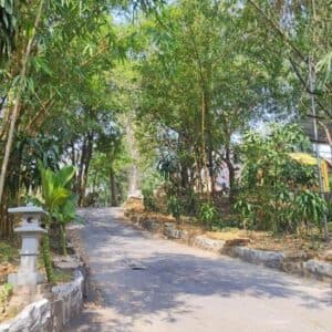 Đường Chu Văn An - Đường Nguyễn Đình Chiểu - Đường Võ Trường Toản