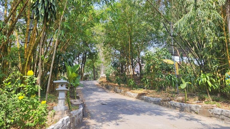 Đường Chu Văn An - Đường Nguyễn Đình Chiểu - Đường Võ Trường Toản