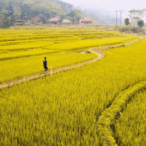 Bá Thước Yêu Thương - Bá Thước - Thanh Hoá