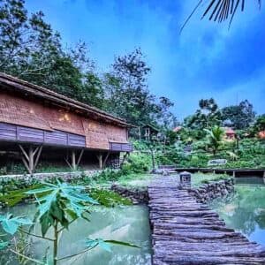 Suối Rao Forest