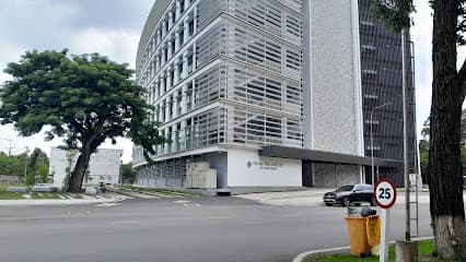 Đường nội bộ CNTT