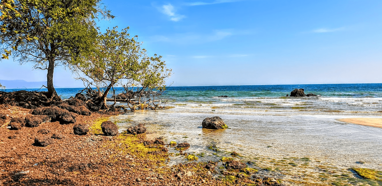 Pineapple beach