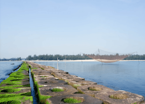 Bãi tắm biển Hải Dương