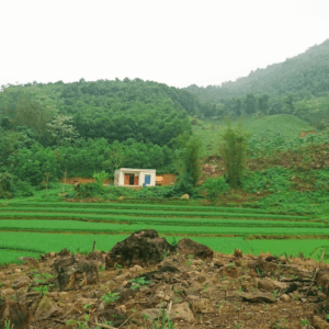 Đinh gia trang - Thanh Sơn - Phú Thọ