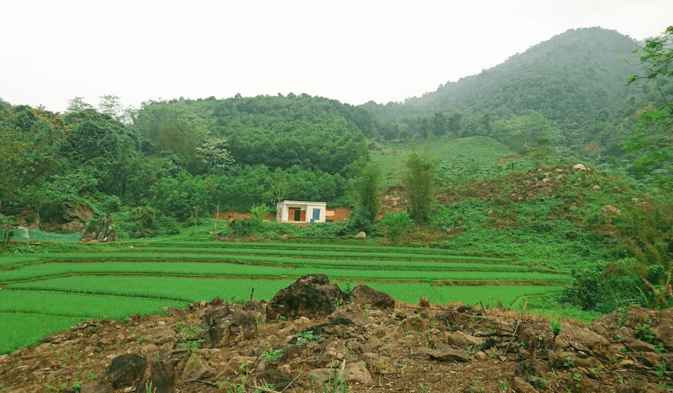 Đinh gia trang - Thanh Sơn - Phú Thọ