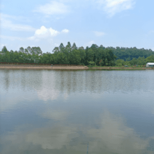 Đập Thọ Quang - Phù Ninh - Phú Thọ