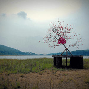 Đảo Sim - Uông Bí - Quảng Ninh