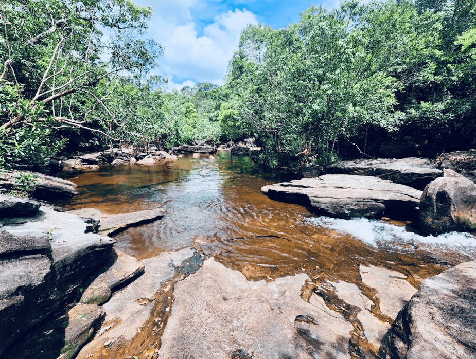 Fairy Spring