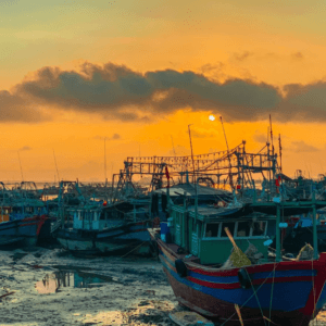Phà Mũi Ngọc Móng Cái