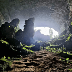 Hang Dơi Kho Mường - Bá Thước - Thanh Hoá