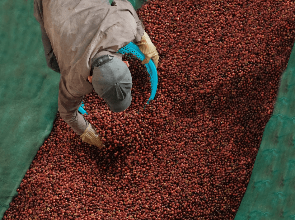PUN COFFEE - ĐIỂM TRẢI NGHIỆM CÀ PHÊ ĐẶC SẢN VIỆT NAM TỪ KHE SANHQUẢNG TRỊ - Hướng Hóa - Quảng Trị