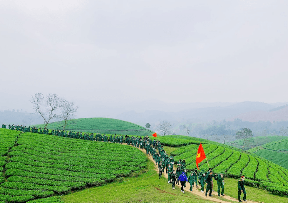 Đồi Chè Long Cốc - Tân Sơn - Phú Thọ