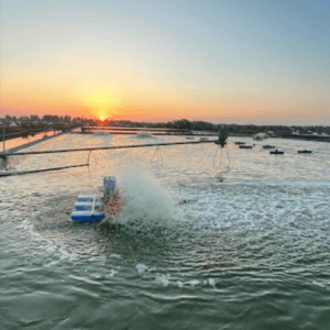 Đầm Tôm Ông Toán - Móng Cái - Quảng Ninh