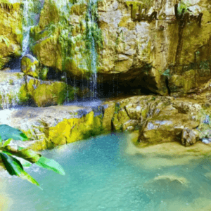 Lựng Xanh - Uông Bí - Quảng Ninh