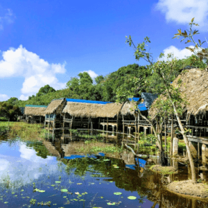 Trằm Trà Lộc - Hải Lăng - Quảng Trị