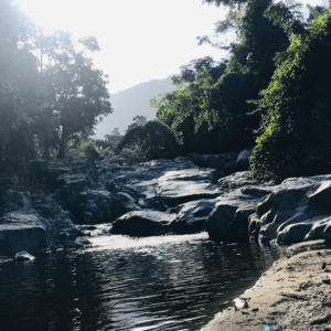Khu sinh thái Muồng Hoa Đào