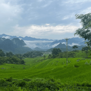 Ban Leo rice field - Bá Thước - Thanh Hoá